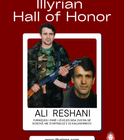 Ali Reshani