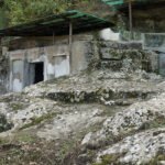 Feja ilire dhe kulti i gjarprit: çfarë dimë vërtet