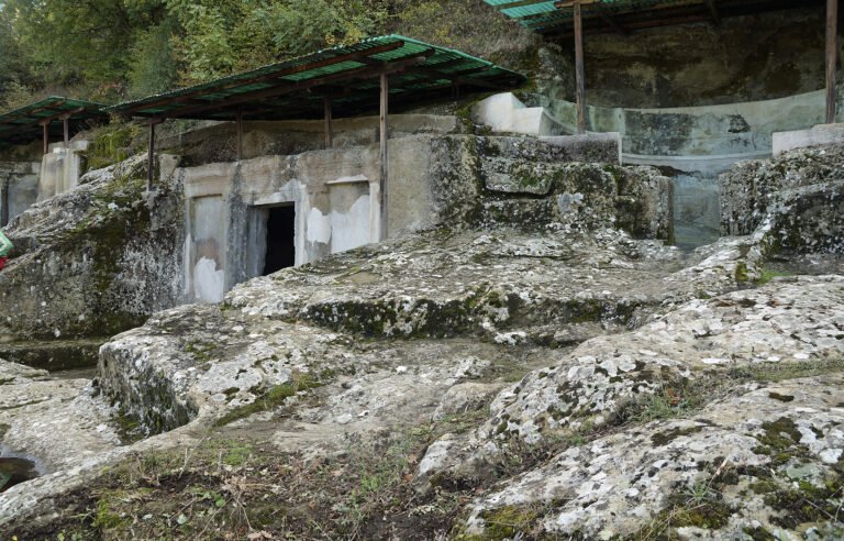 Feja ilire dhe kulti i gjarprit: çfarë dimë vërtet